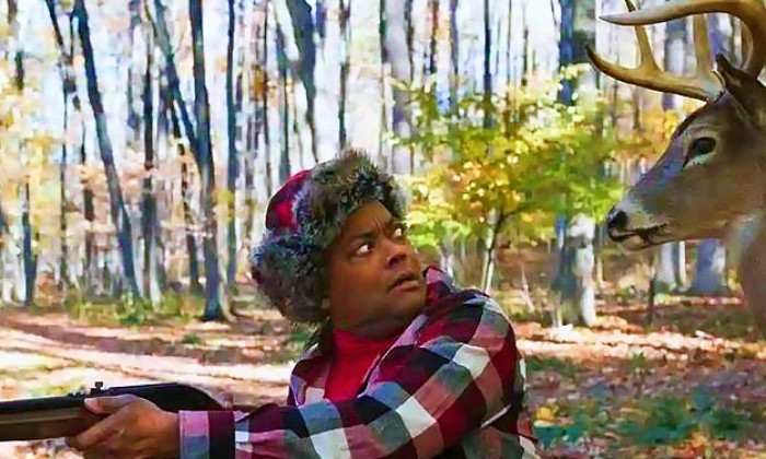 Puzzle coucou surprise - Animaux - Absolu Puzzle