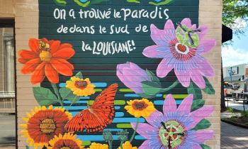 Puzzle 14682 - On a trouvé le paradis