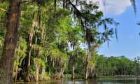 Puzzle Bayous en Louisiane