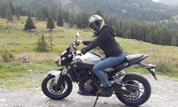 Puzzle 14809 - Le cavalier fantôme