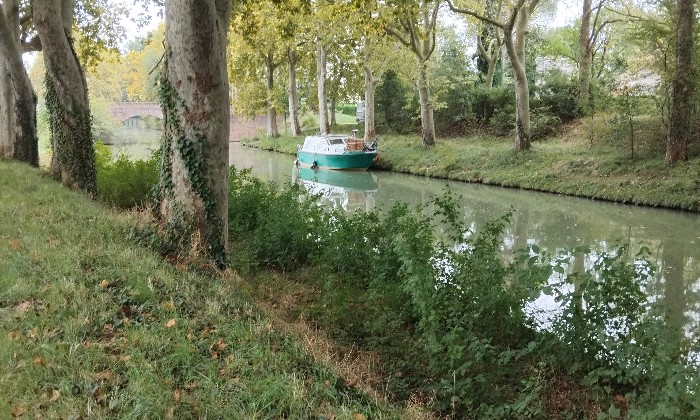 Puzzle Canal du midi Occitanie - Paysages & Fleurs - Absolu Puzzle