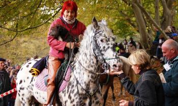 Puzzle 14467 - Cheval et cavalière