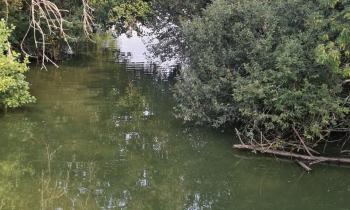 Puzzle 14523 - marais de la Brière  44