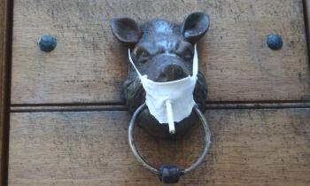 Puzzle 14353 - heurtoir