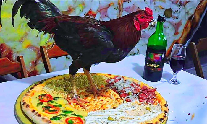 Puzzle les pattes dans le plat - Animaux - Absolu Puzzle