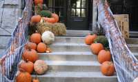 Puzzle Citrouilles d' Halloween