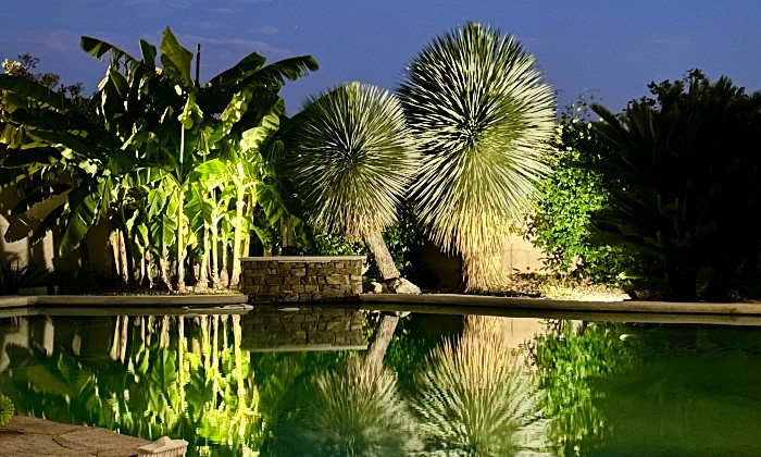 Puzzle Reflet dans l'eau - Paysages & Fleurs - Absolu Puzzle