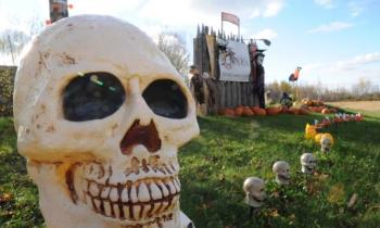 Puzzle 14001 - Fêter Halloween