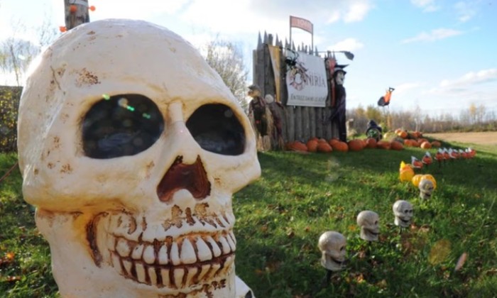 Cliquez pour agrandir la photo Puzzle FĂȘter Halloween - Divers - Absolu Puzzle
