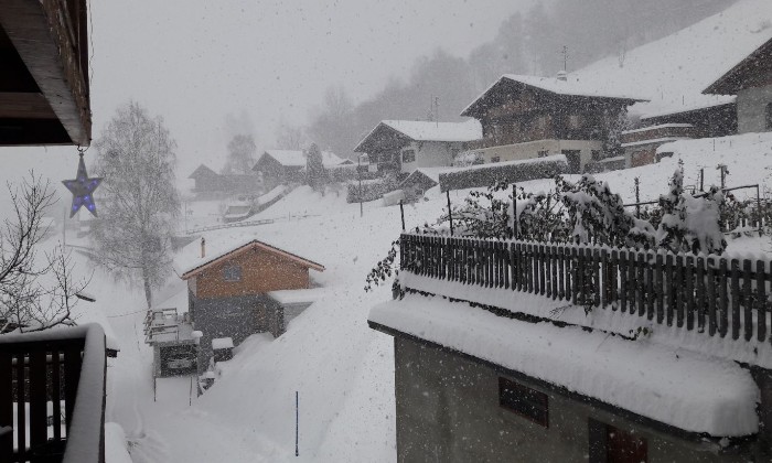 Puzzle Village Suisse enneigé - Paysages & Fleurs - Absolu Puzzle