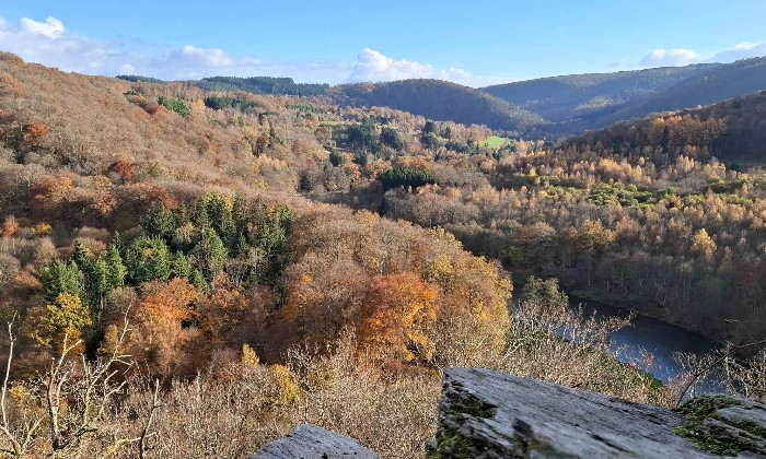 Puzzle Point de vue du jambon - Paysages & Fleurs - Absolu Puzzle