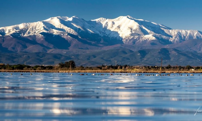 Puzzle Canigou 66 - Premieres neiges - Paysages & Fleurs - Absolu Puzzle