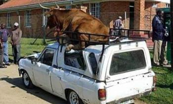 Puzzle 14760 - Convoi exceptionnel