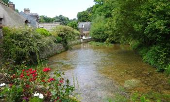 Puzzle 14863 - cressonnière