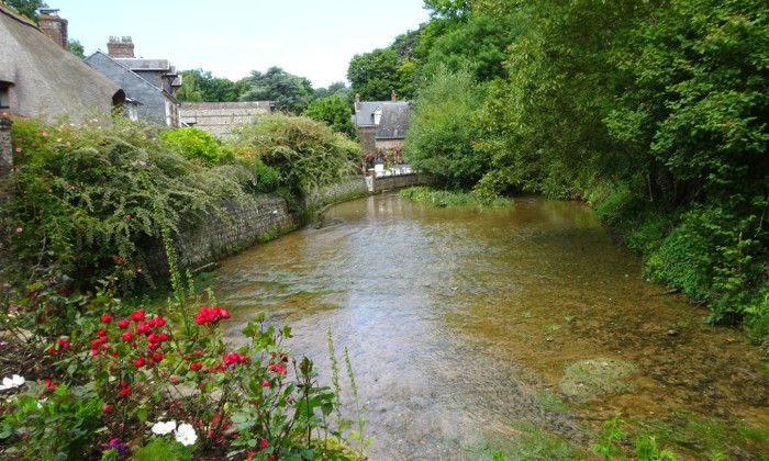 Puzzle cressonnière - Paysages & Fleurs - Absolu Puzzle