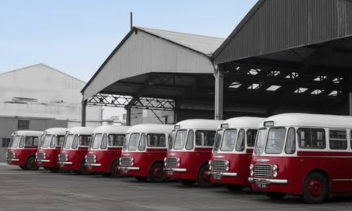 Puzzle Autobus - Véhicules & Motos - Absolu Puzzle