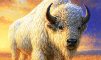 Puzzle 14759 - bison blanc
