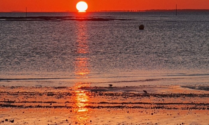 Puzzle coucher de soleil - Paysages & Fleurs - Absolu Puzzle