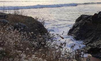 Puzzle 14938 - vue sur la mer