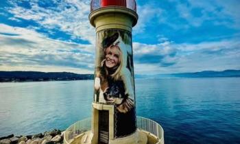 Puzzle 14691 - PHARE B B