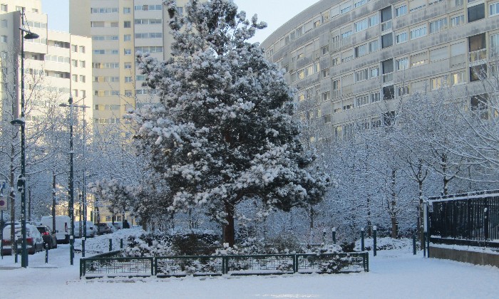 Puzzle L'hiver en Ile de France - Divers - Absolu Puzzle