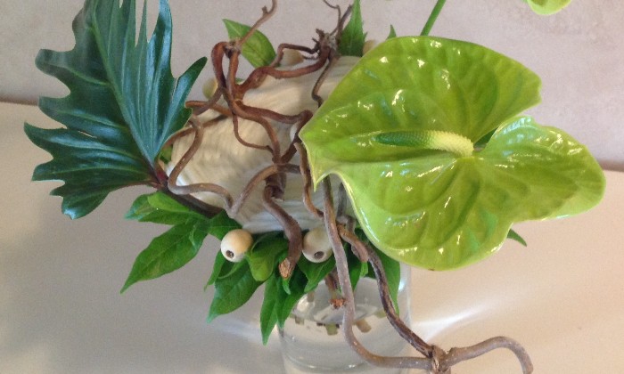 Puzzle Compo végétale - Paysages & Fleurs - Absolu Puzzle