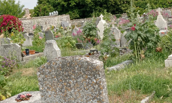 Puzzle la nature reprend ses droits - Paysages & Fleurs - Absolu Puzzle