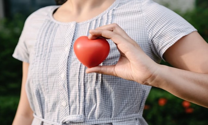 Puzzle Février le mois du cœur - Divers - Absolu Puzzle