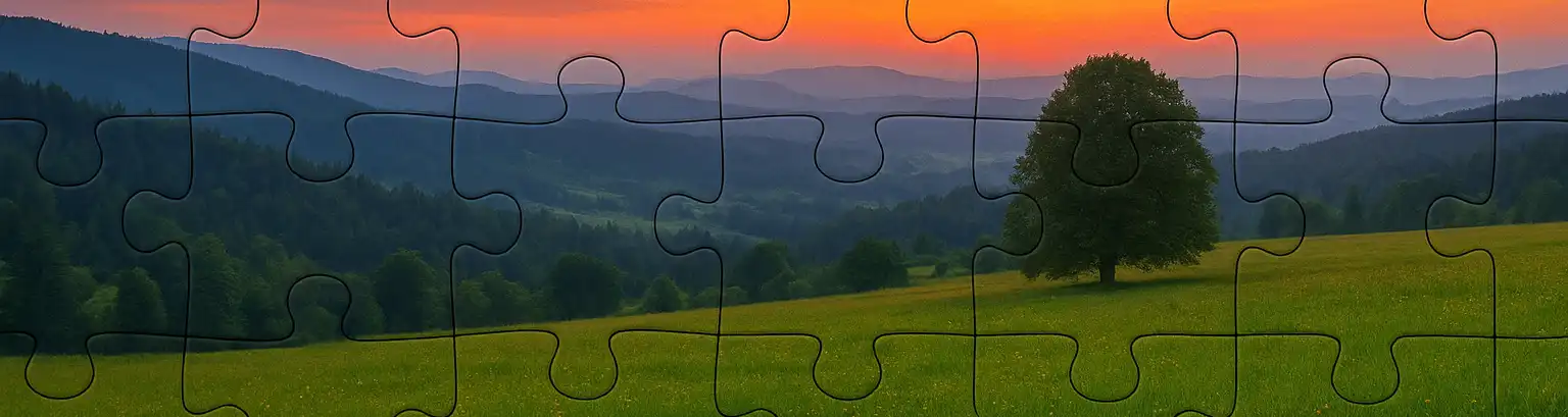 Top 10 puzzles