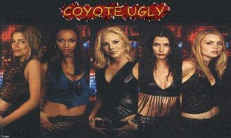 puzzle Coyote Ugly, Coyote Ugly