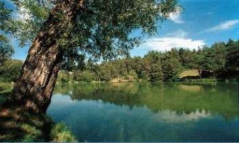 169 | Lac - Lac, avec paysage en miroir