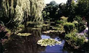 205 | Nénuphars à Giverny - Parc de la maison de Monet