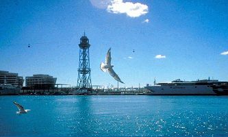 puzzle Harbor, Un port bleu pour goëlands blancs