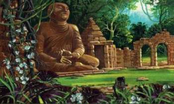 239 | Boudha - Boudha et son temple, rendus à la jungle...