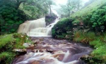 364 | Cascade en Galles - Entendre l'eau murmurer au pied de cette cascade...antistress garanti !