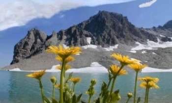 366 | Doronic en montagne - Un lac en plein ciel...avec fleurs terrestres.