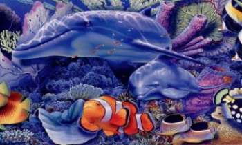 647 | Barrière de corail - Un monde où petits et grands se côtoyent. Que vive le corail !