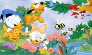 714 | Donald bébé - Donald, Daisy, et leurs amis...découvrent le printemps et les fleurs...