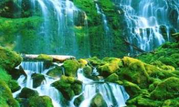848 | Proxy Falls - Spectaculaires chutes et hautes en couleur, dans l'Oregon (US)