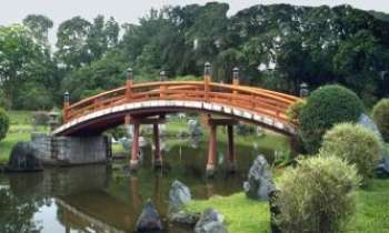 780 | Pont Japonais - Une technique défiant le temps, grâce et équilibre inégalés !