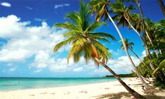 puzzle Sable blanc ..., En Martinique...idéal pour se dorer sans réserve au soleil...mais avec précautions !!