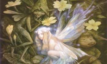 839 | Fée Clochettte - Brian Froud...artiste britannique ...connu pour ses illustrations de livres sur les fées...et pour ses multiples talents