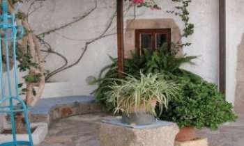 854 | Puits et Jardin - En Grèce...une cour, un puits, quleques plantes, un rosier grimpant...en toute simplicité.