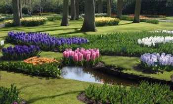 866 | Keukenhof Garden - Le Keukenhof Garden - à Lisse, entre Amsterdam et La Haye - Hollande