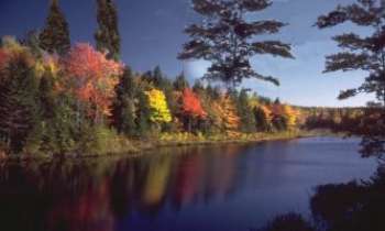 871 | Lac en automne - Un crépuscule automnal en New England...