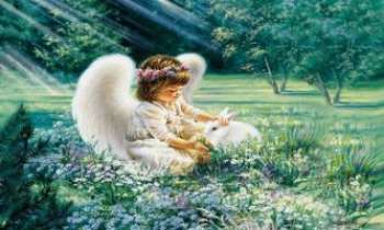 908 | Un contact d'ange - Un rayon de lumière sur un jardin où un petit ange caresse un lapin 