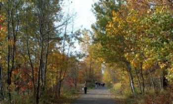 879 | piste cyclable - Chemin forestier en automne à Trois-Rivières, au Québec : à pied ou à bicyclette...pr petits et grands...une façon de vivre...et pas des moindres...