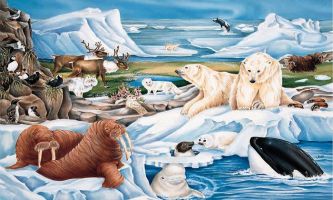 puzzle le monde arctique, La merveilleuse illustration d'ours blancs, morse et d'autres animaux de l' Arctique glaciale.