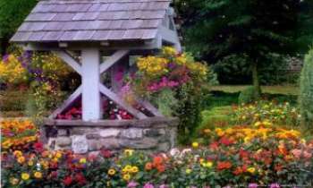 1005 | Puits - Ce vieux puits ajoute beaucoup de charme à ce jardin fleuri