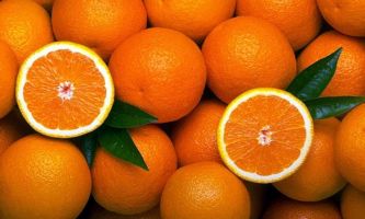 puzzle Jus d'orange, De quoi faire une cure de vitamine C ...pour un hiver sans rhume !!